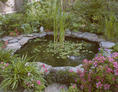 Feng Shui garden picture
