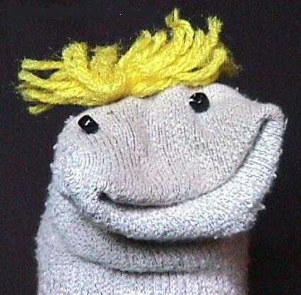 Sock Puppet Alert